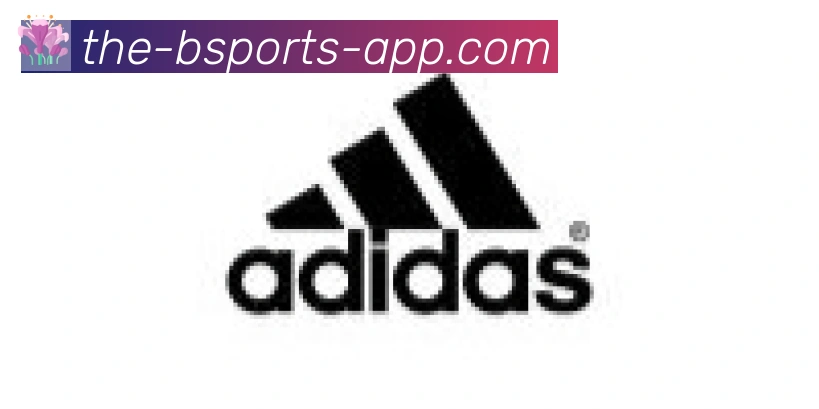 bsports体育合作伙伴